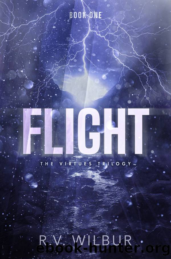 Flight by R.V. Wilbur