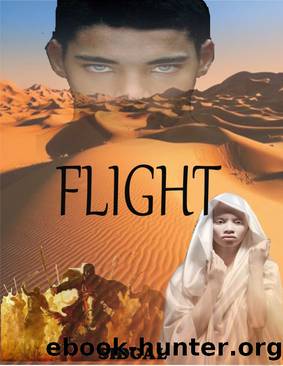 Flight by Sidgal