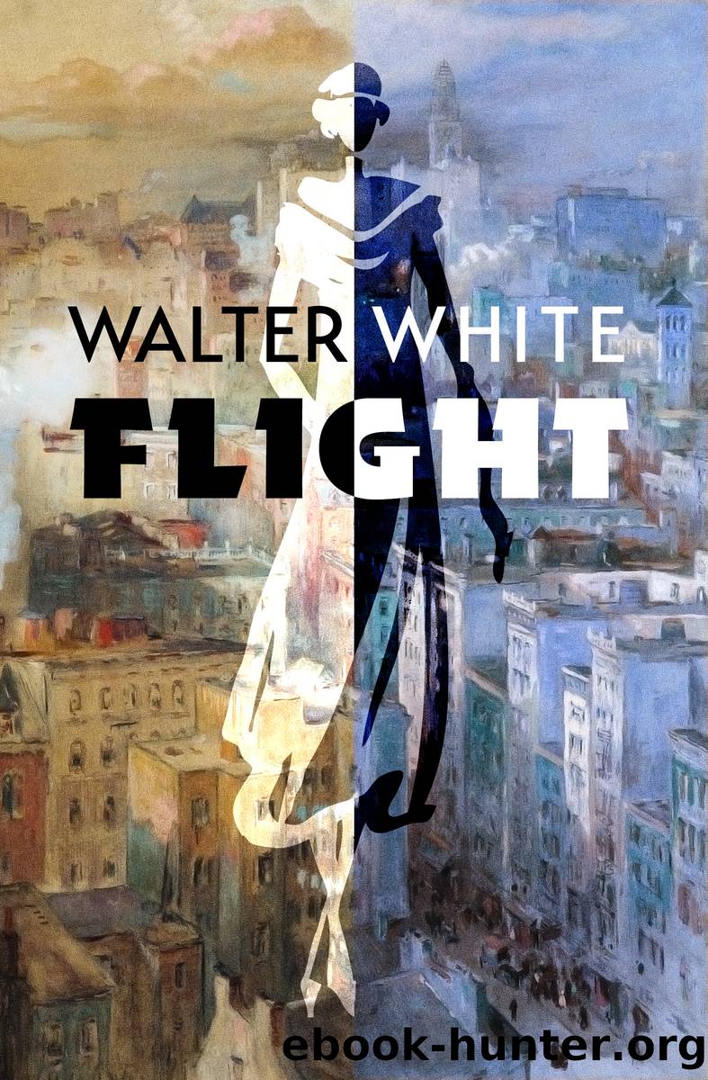 Flight by Walter White