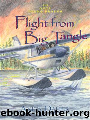Flight from Big Tangle by Anita Daher