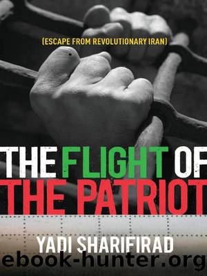 Flight of the Patriot by Yadollah Sharifirad