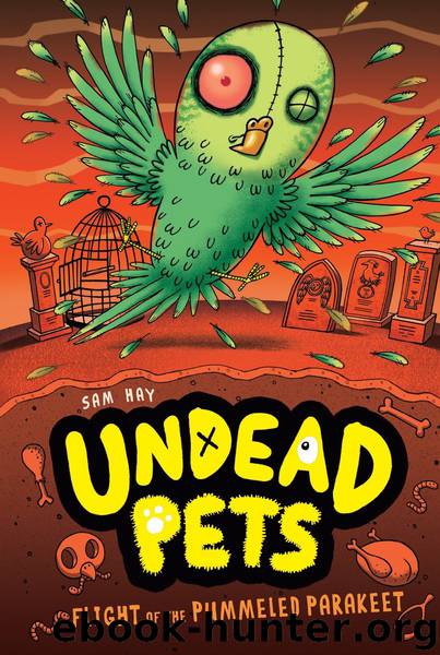 Flight of the Pummeled Parakeet by Sam Hay