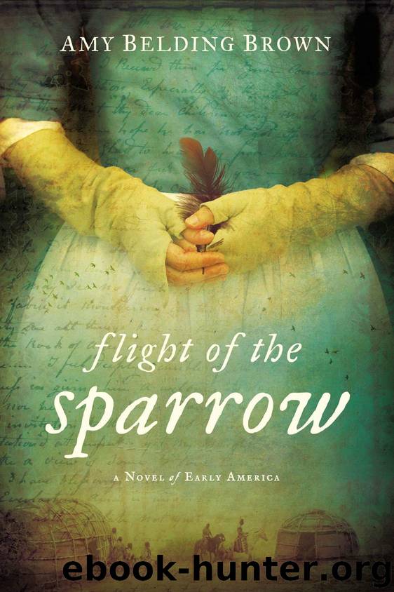 Flight of the Sparrow by Amy Belding Brown