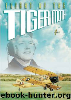 Flight of the Tiger Moth by Mary Woodbury