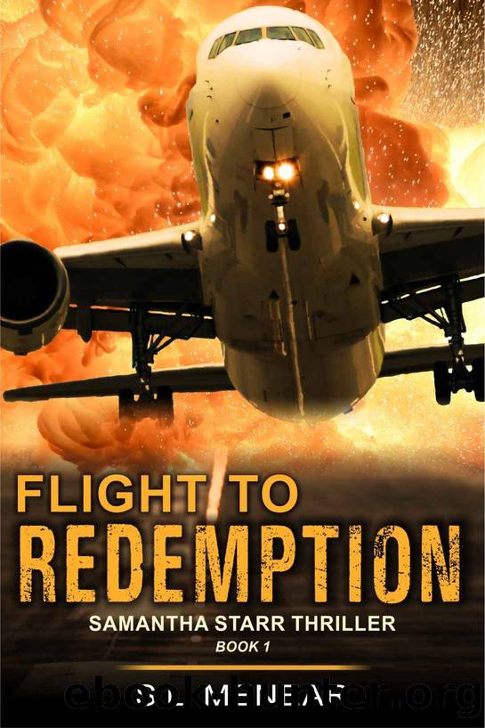 Flight to Redemption by S. L. Menear
