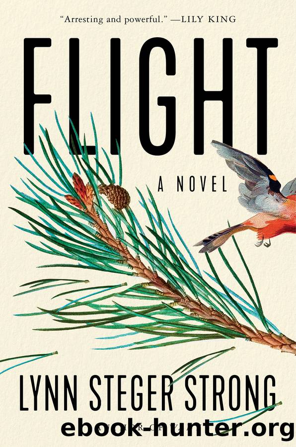 Flight: a Novel by Lynn Steger Strong