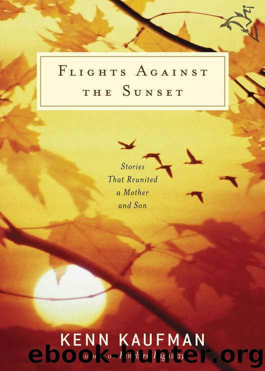 Flights Against the Sunset by Kenn Kaufman