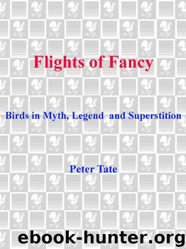 Flights of Fancy by Peter Tate