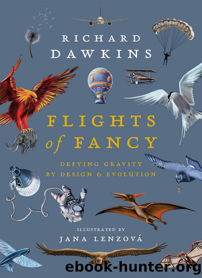 Flights of Fancy by Richard Dawkins