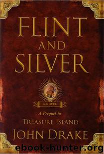 Flint and Silver by John Drake