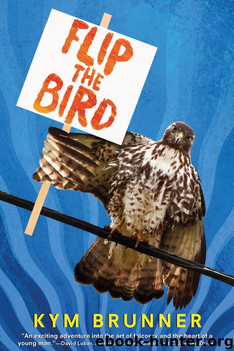 Flip the Bird by Kym Brunner