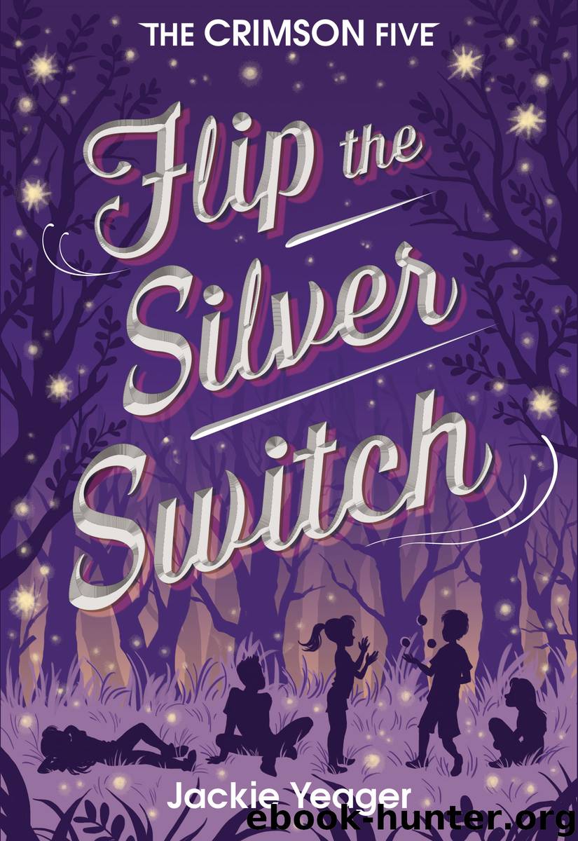 Flip the Silver Switch by Jackie Yeager