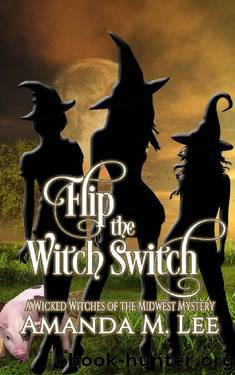 Flip the Witch Switch (Wicked Witches of the Midwest Book 14) by Amanda M. Lee
