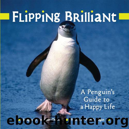 Flipping Brilliant: A Penguin's Guide to a Happy Life by Jonathan Chester & Patrick Regan