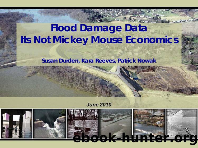 Flood Damage Data Its Not Mickey Mouse Economics by Susan Durden Kara Reeves and Patrick Nowak