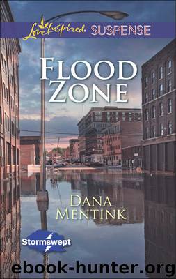 Flood Zone by Dana Mentink