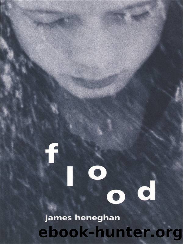 Flood by James Heneghan