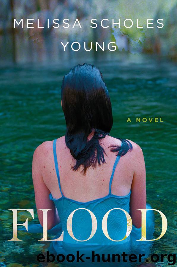 Flood by Melissa Scholes Young