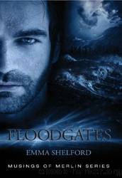 Floodgates by Emma Shelford