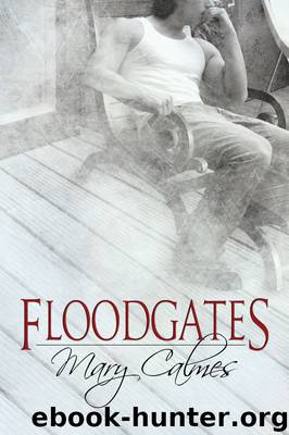 Floodgates by Mary Calmes
