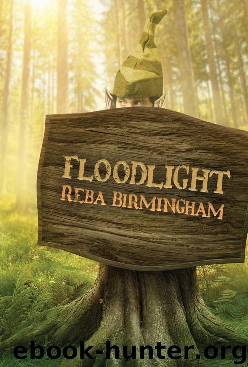 Floodlight by Reba Birmingham