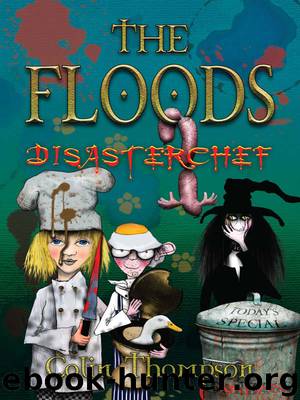 Floods 11 by Colin Thompson
