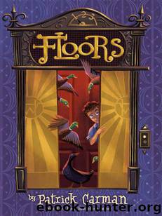 Floors: by Patrick Carman