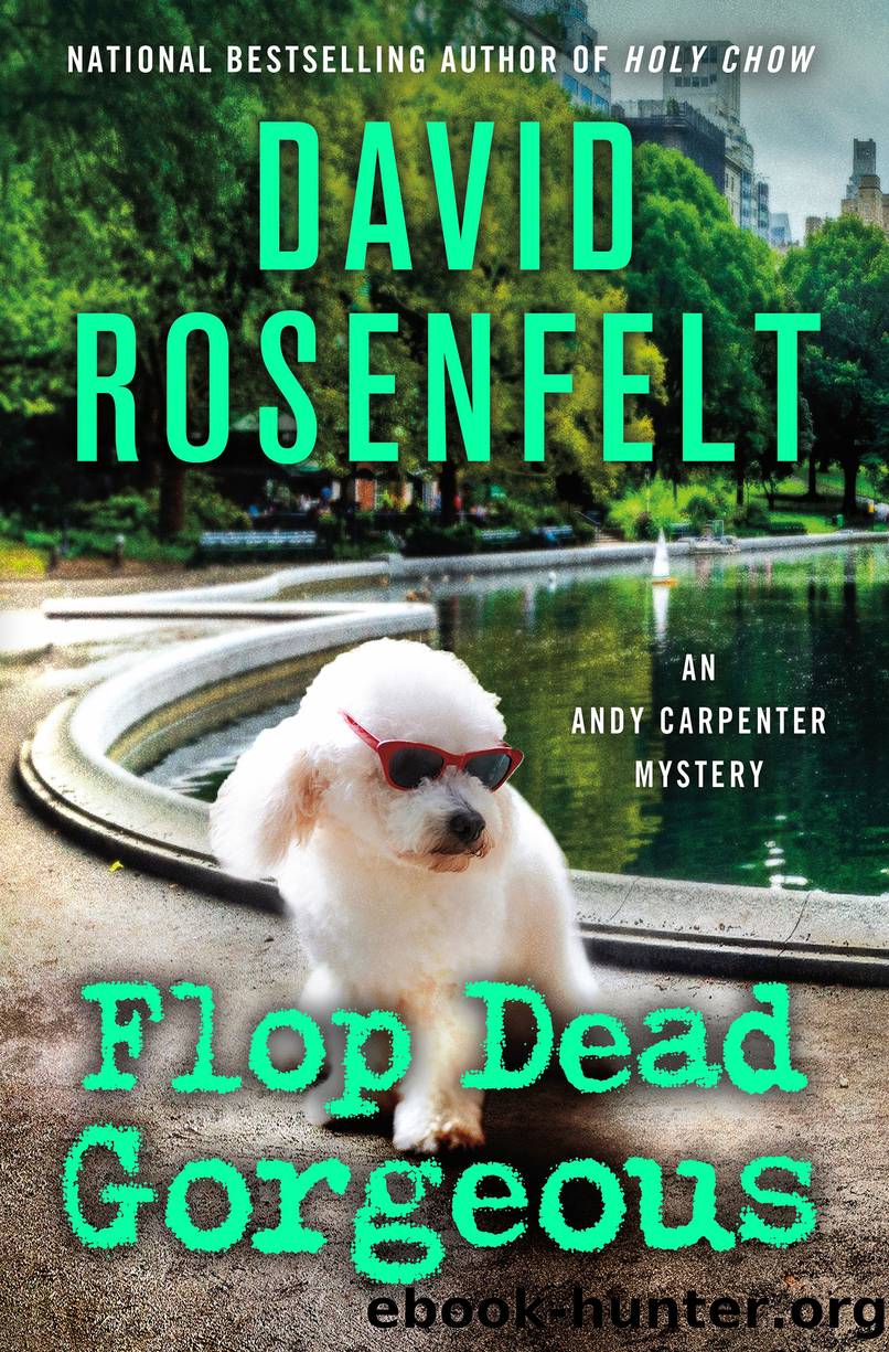 Flop Dead Gorgeous by David Rosenfelt