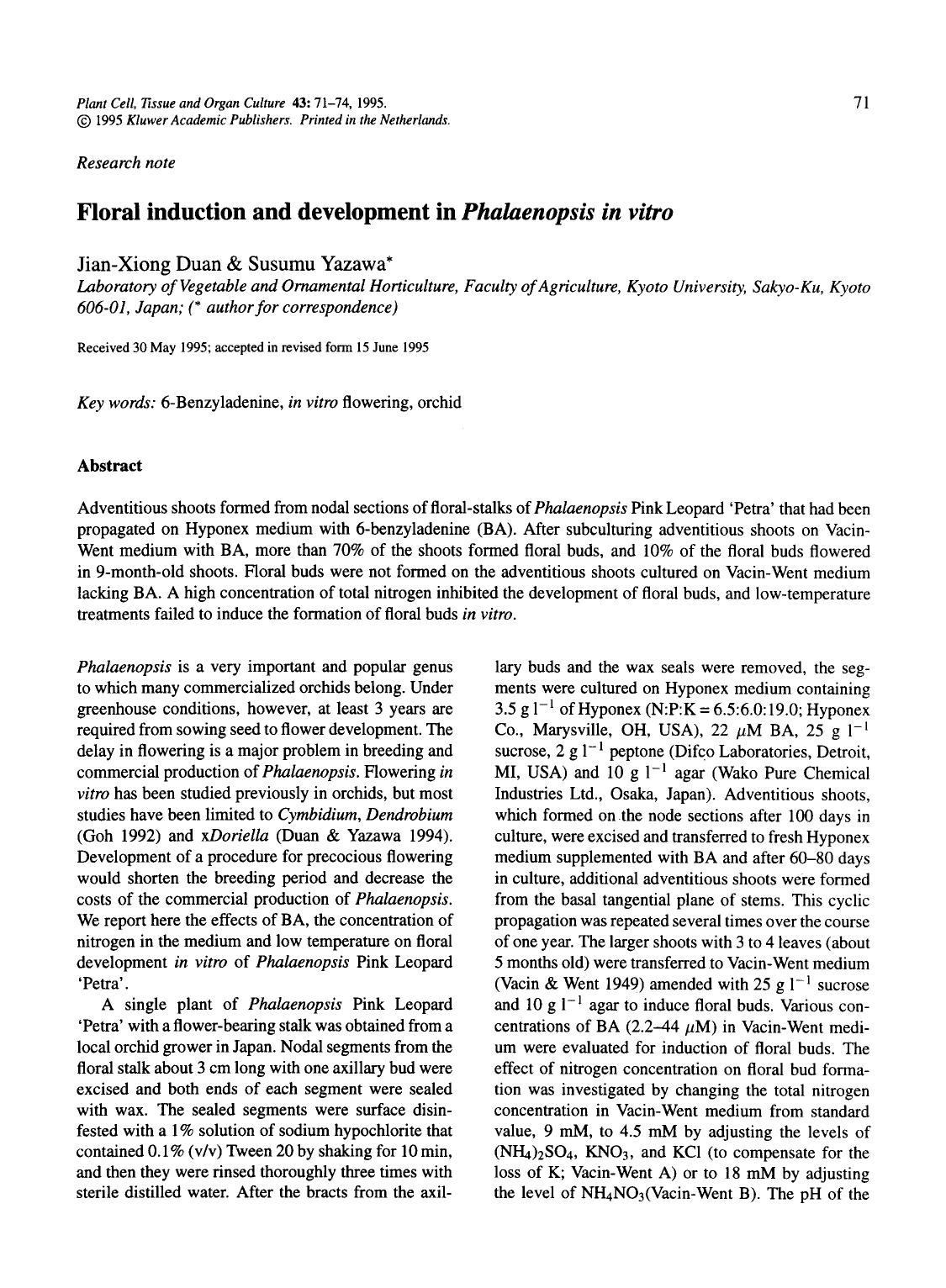 Floral induction and development in <Emphasis Type="Italic">Phalaenopsis in vitro<Emphasis> by Unknown