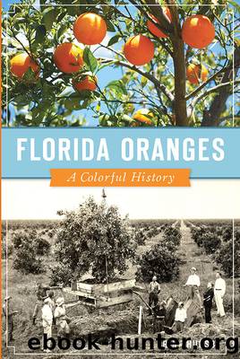 Florida Oranges by Erin Thursby