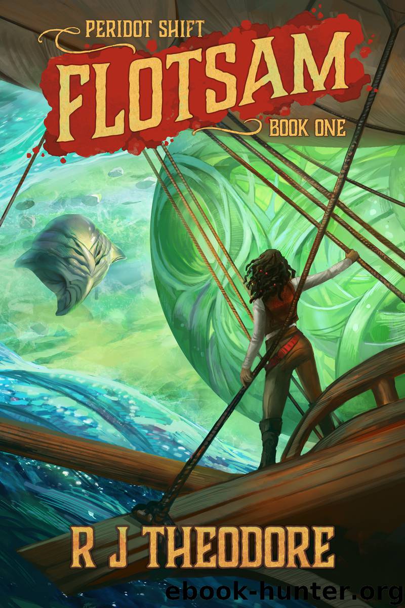 Flotsam by R J Theodore
