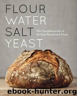 Flour Water Salt Yeast by Ken Forkish