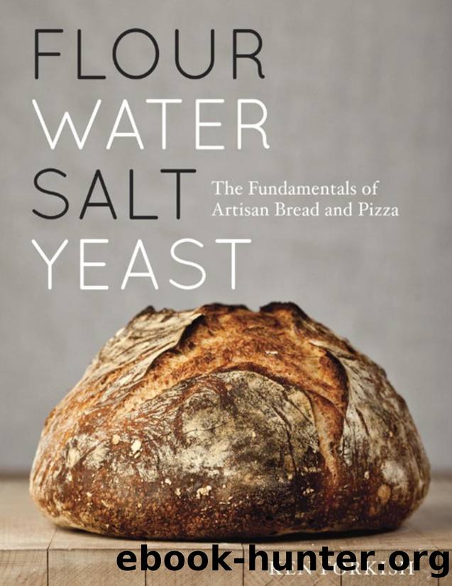 Flour Water Salt Yeast: The Fundamentals of Artisan Bread and Pizza - PDFDrive.com by Ken Forkish