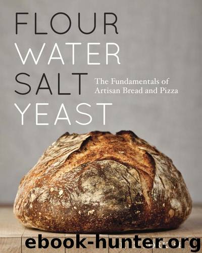 Flour Water Salt Yeast: The Fundamentals of Artisan Bread and Pizza by Ken Forkish