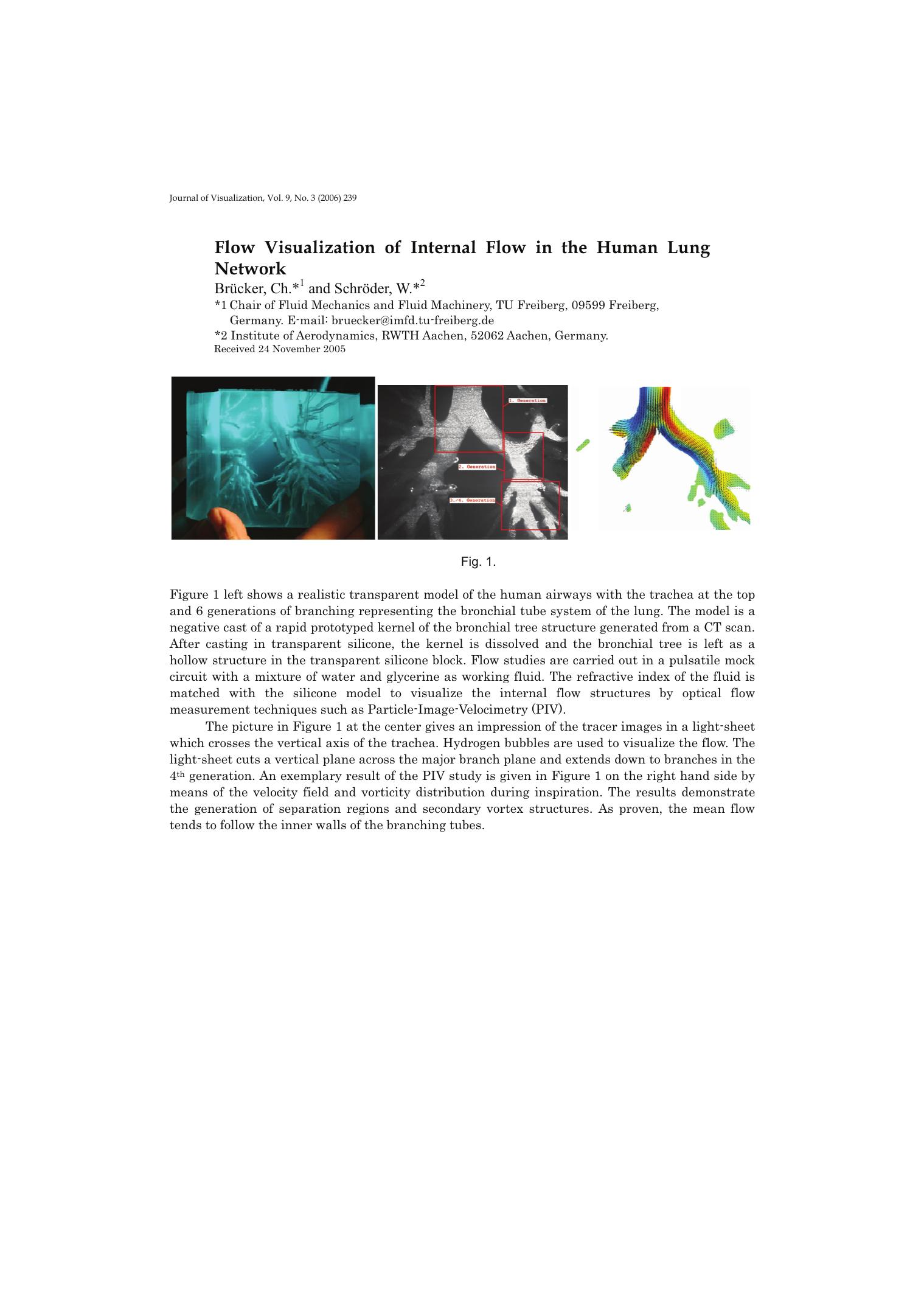 Flow visualization internal of flow in the human lung network by Unknown