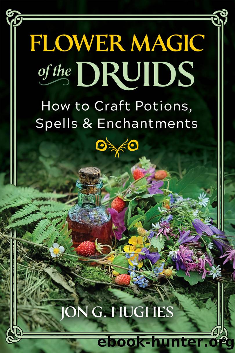 Flower Magic of the Druids by Hughes Jon G.;