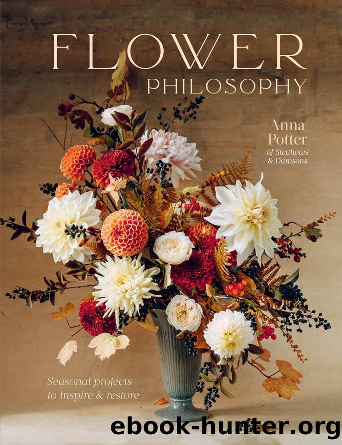 Flower Philosophy by Potter Anna;Hobson India;