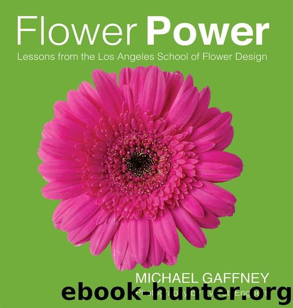 Flower Power by Gaffney Michael