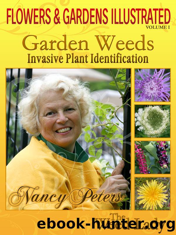 Flowers and Gardens Illustrated, Vol 1 by Nancy Peters & Nancy Peters
