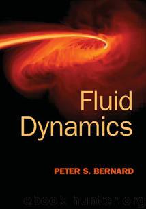 Fluid Dynamics by Bernard Peter S