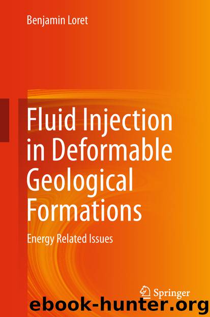 Fluid Injection in Deformable Geological Formations by Benjamin Loret