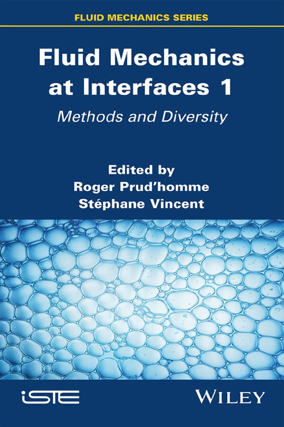 Fluid Mechanics at Interfaces 1: Methods and Diversity by Roger Prudhomme