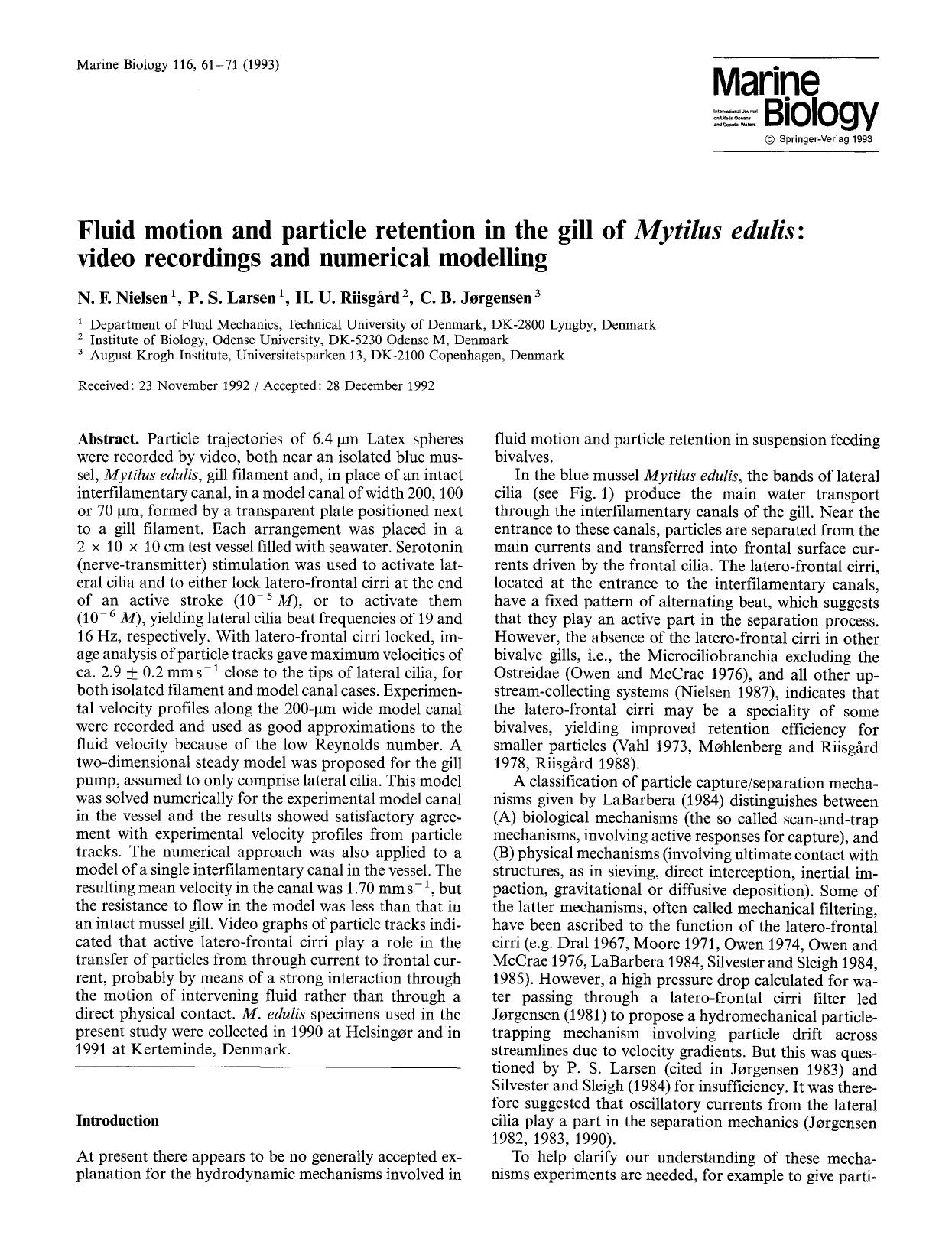 Fluid motion and particle retention in the gill of <Emphasis Type="Italic">Mytilus edulis<Emphasis>: Video recordings and numerical modelling by Unknown