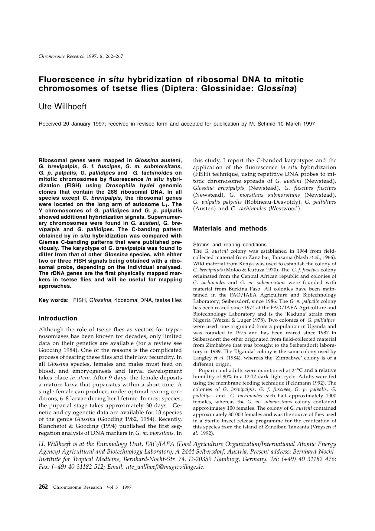 Fluorescence in situ hybridization of ribosomal DNA to mitotic chromosomes of tsetse flies (Diptera: Glossinidae: Glossina) by Unknown