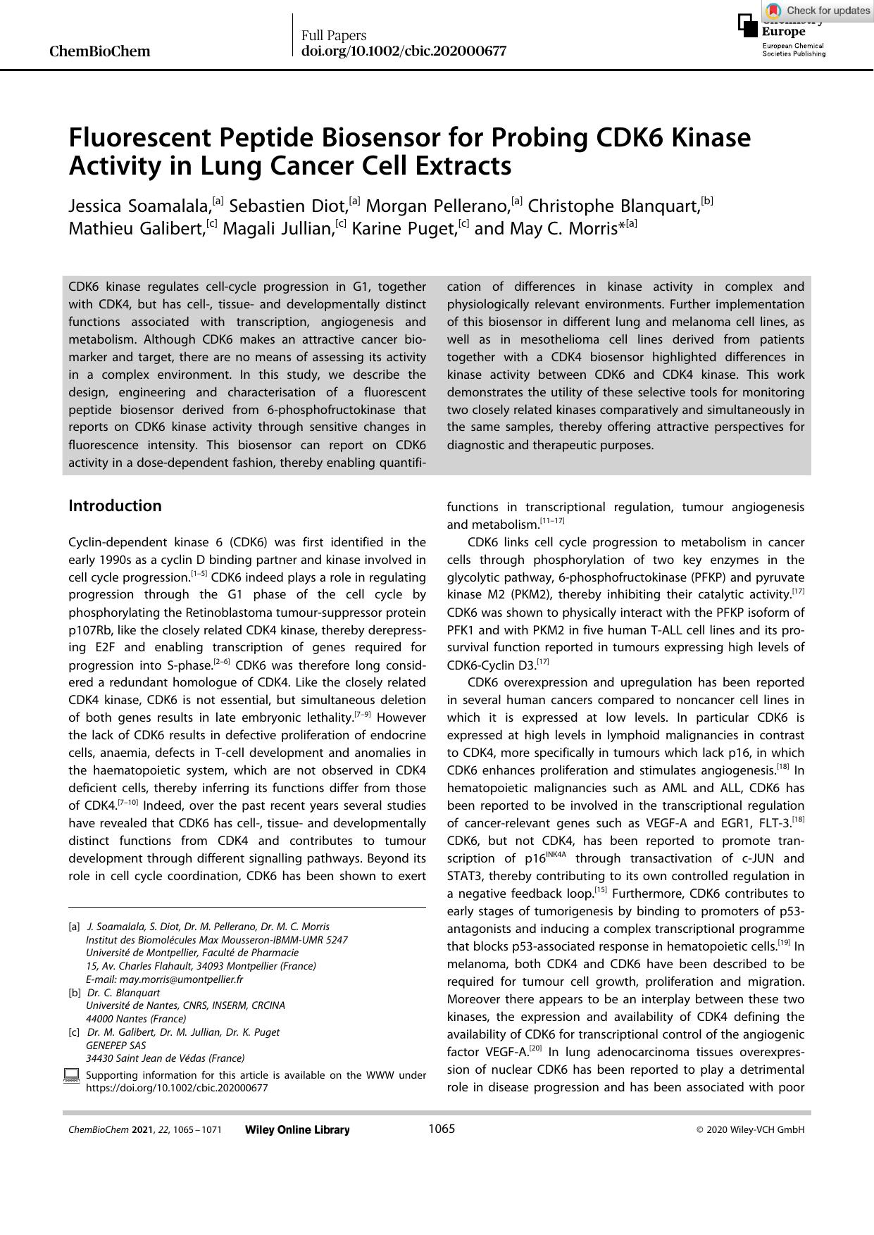 Fluorescent Peptide Biosensor for Probing CDK6 Kinase Activity in Lung Cancer Cell Extracts by Unknown