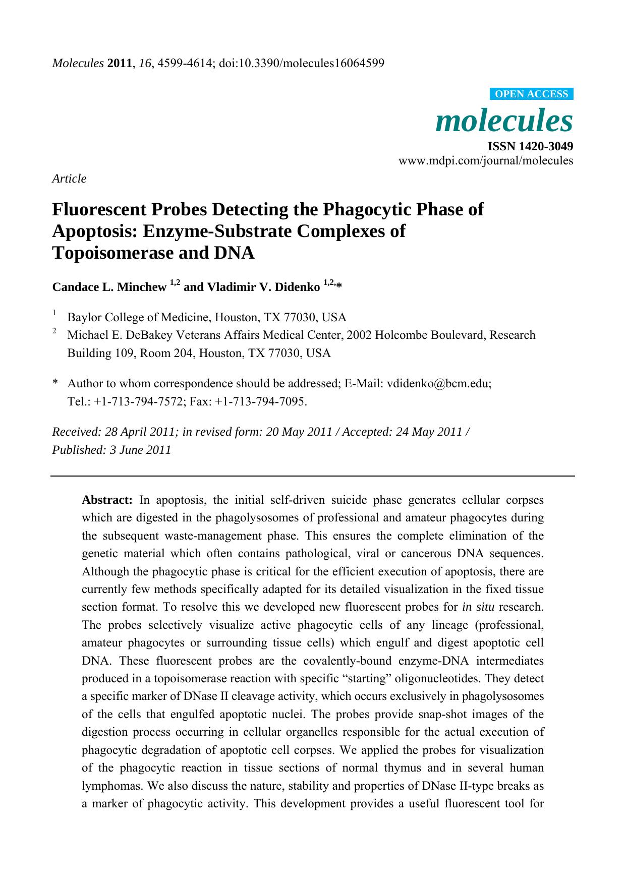 Fluorescent Probes Detecting the Phagocytic Phase of Apoptosis: Enzyme-Substrate Complexes of Topoisomerase and DNA by Candace L. Minchew & Vladimir V. Didenko