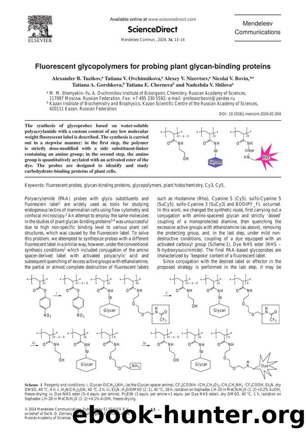 Fluorescent glycopolymers for probing plant glycan-binding proteins by unknow