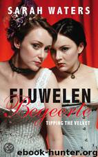 Fluwelen begeerte by Sarah Waters
