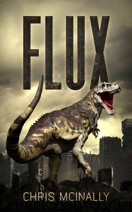 Flux by McInally Chris
