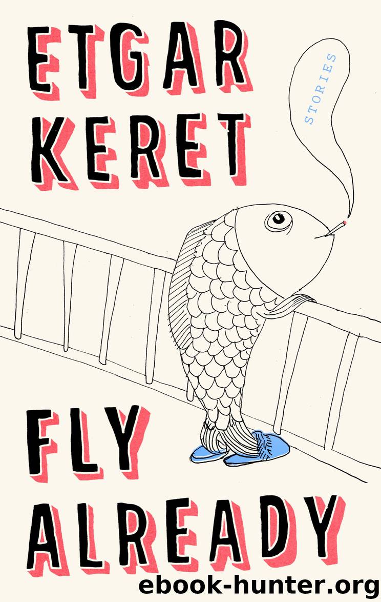 Fly Already by Etgar Keret